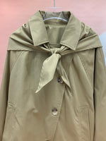 24941_BROWN
