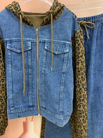 24996_LEOPARD