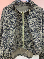 25184_BROWN