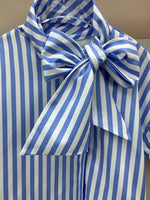 24234_BLUE