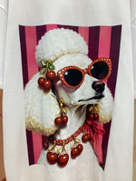 24772_WHITE