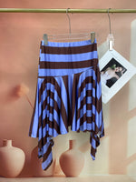 24699_BLUE